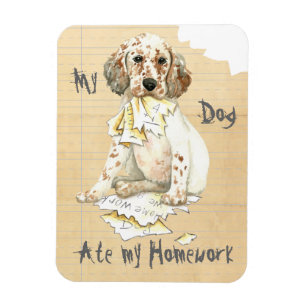 My English Setter Ate My Homework Magnet