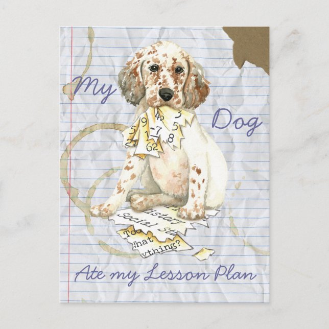 My English Setter Ate My Lesson Plan Postcard (Front)
