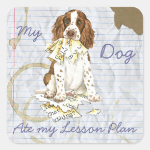 My English Springer Spaniel Ate My Lesson Plan Square Sticker