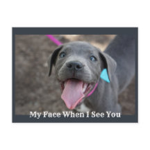 My Face When I See You Cute Puppy Postcard