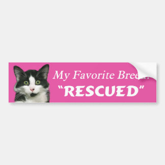 My Favourite Breed Cat Bumper Sticker
