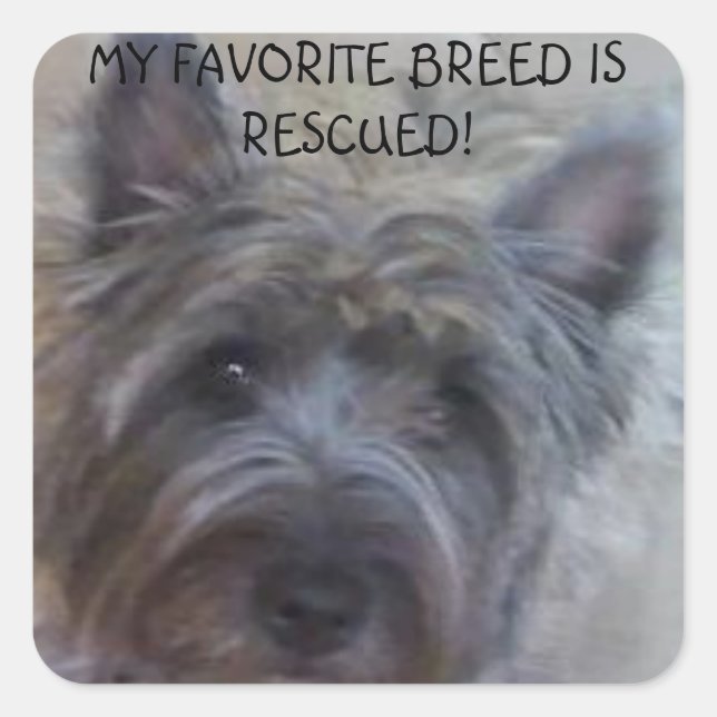 My Favourite Breed is Rescued! Square Sticker (Front)