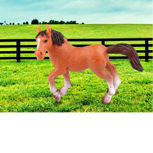 My Favourite Horse Throw Pillow (Creator Uploaded)