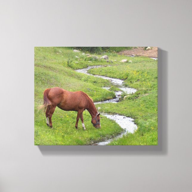 "My Favourite" Stretched Canvas Print (Front)