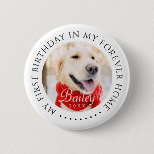 My First Birthday Forever Home Modern Pet Photo 2 Inch Round Button