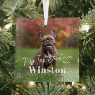 My First Christmas Custom Pet Name Photo Glass Ornament