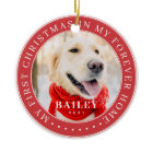 My First Christmas Forever Home Modern Pet Photo