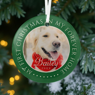 My First Christmas Forever Home Modern Pet Photo Glass Ornament