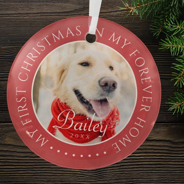 My First Christmas Forever Home Modern Pet Photo Glass Ornament (Creator Uploaded)