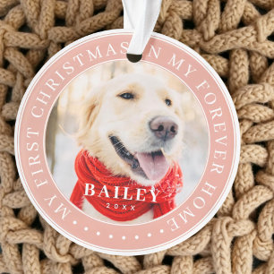 My First Christmas Forever Home Modern Pet Photo Ornament