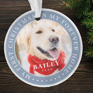 My First Christmas Forever Home Modern Pet Photo Ornament