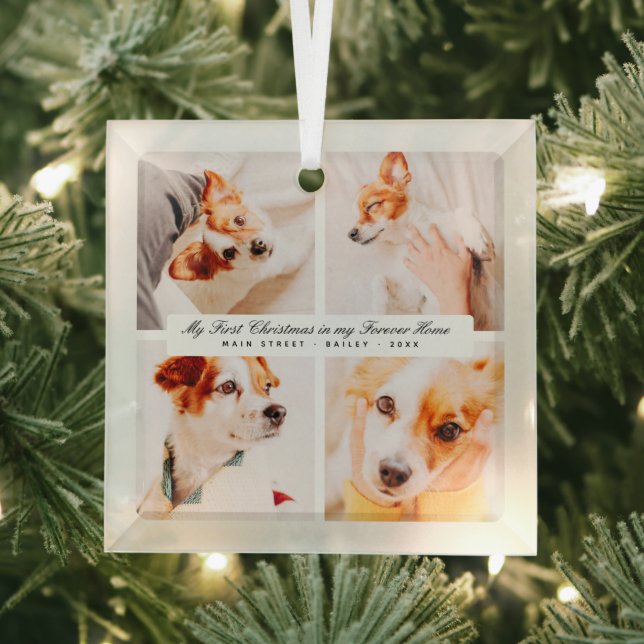 My First Christmas Forever Home Modern Pet Photos Glass Ornament (Insitu)