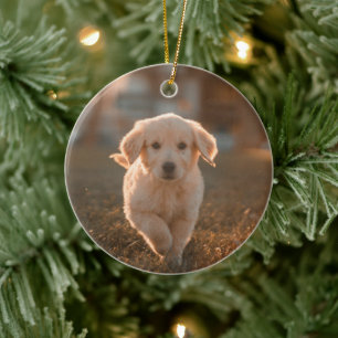 My First Christmas Modern Simple Puppy Pet Photo Ceramic Ornament