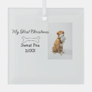 My first Christmas pet animal photo name year bone Glass Ornament