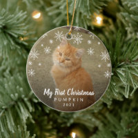My First Christmas Snowflakes Cat Photo
