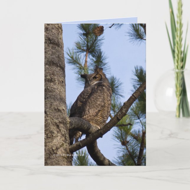 My Forest Neighbour Card (Front)