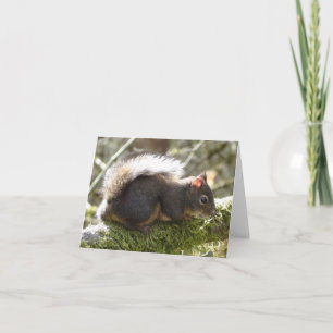 My Friend Fuzzy Card