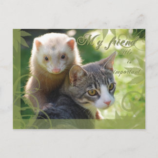 My Friend Postcard