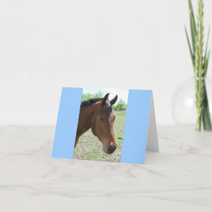My Friend, The Horse Card