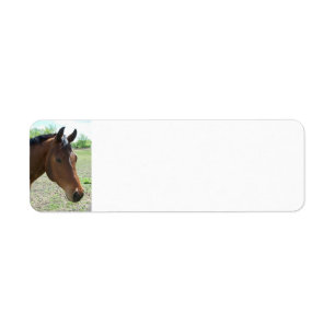 My Friend, The Horse - Personalized