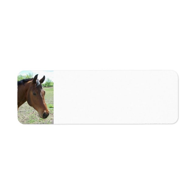 My Friend, The Horse - Personalized (Front)