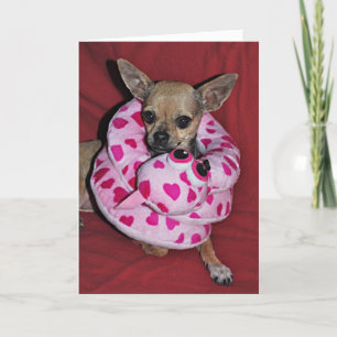 My Funny Valentine Holiday Card