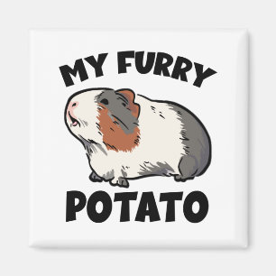 My furry potato guinea pig magnet