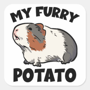 My furry potato guinea pig T-Shirt Square Sticker