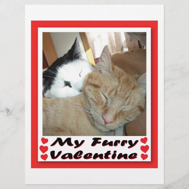 My Furry Valentine Flyer (Front)