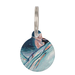 My Future Home in Space Pet Tag