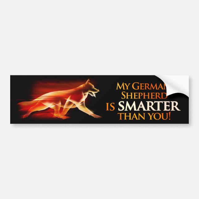 My German Shepherd is smarter than you Bumper Sticker (Front)