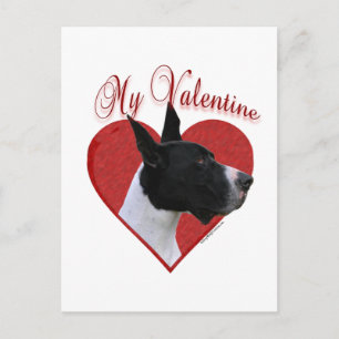 My Great Dane Valentine Holiday Postcard
