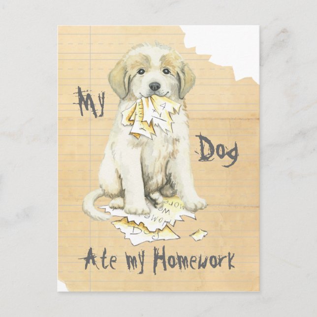 My Great Pyrenees Ate My Homework Postcard (Front)
