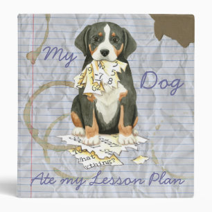 My GSMD Ate my Lesson Plan Binder