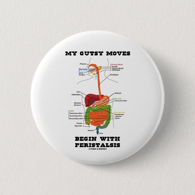 My Gutsy Moves Begin With Peristalsis (Digestive) 2 Inch Round Button (Front)