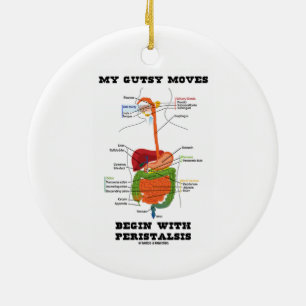 My Gutsy Moves Begin With Peristalsis (Digestive) Ceramic Ornament