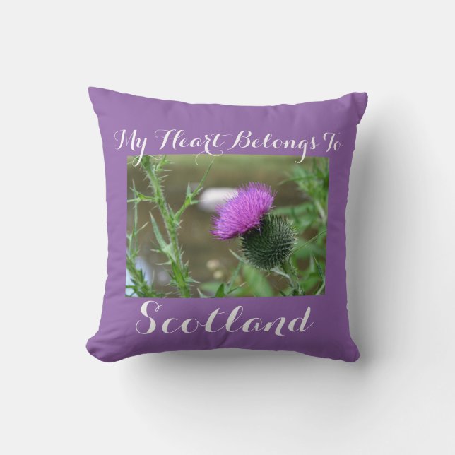 "My heart belongs to Scotland" Thistle Pillow (Front)