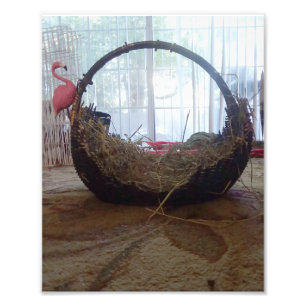 My heart photo print