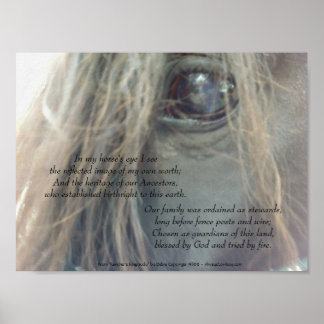 My Horse's Eye 11x8.25 matte print uv