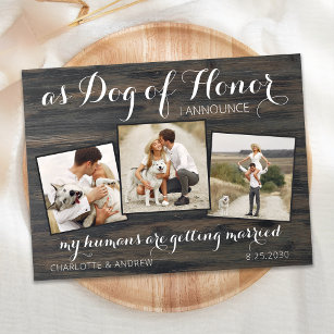 My Humans Are Getting Married Dog Save The Date Announcement Postcard