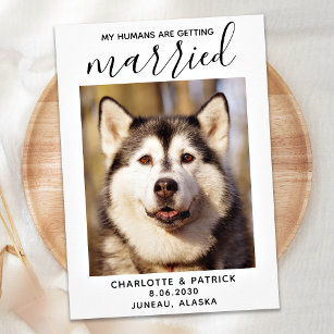My Humans Are Getting Married- Elegant Dog Wedding Save The Date