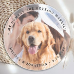 My Humans Are Getting Married Engagement Dog Photo Coaster<br><div class="desc">Celebrate your engagement and give unique dog wedding save the dates with these custom photo, and personalized 'My Humans Are Getting Married" wedding save the date coaster. Customize with your favourite photos, names and date. This custom photo wedding coaster is perfect for engagement party favours, and an alternative to dog...</div>