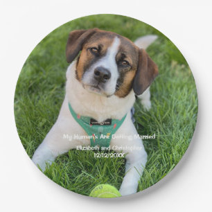 My Human's Are Getting Married Engagement Photo   Paper Plate