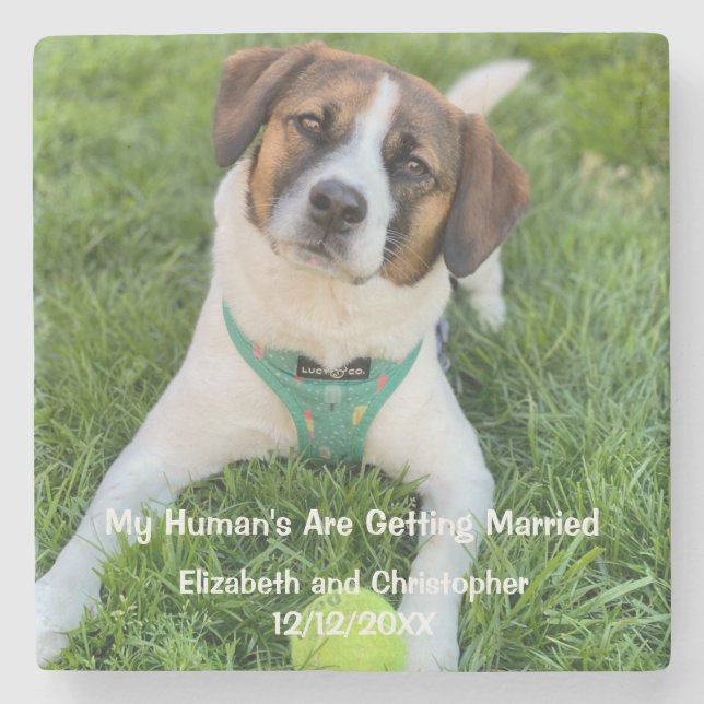My Human's Are Getting Married Engagement Photo Stone Coaster (Front)