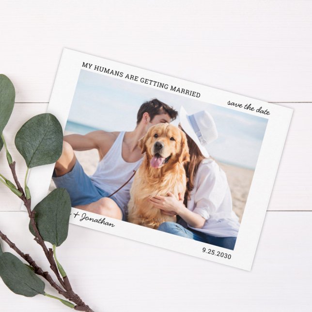 My Humans Are Getting Married Pet Wedding Photo  S Save The Date (Creator Uploaded)