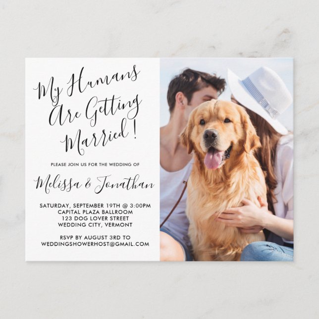 My Humans Are Getting Married Photo Pet Wedding Invitation Postcard (Front)