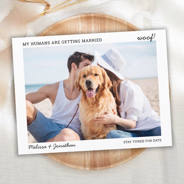 My Humans Getting Married Pet Wedding Engagement  Announcement Postcard (Creator Uploaded)