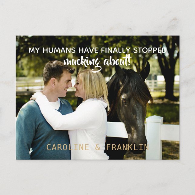 My Humans Have Stopped Mucking About Engagement Invitation Postcard (Front)