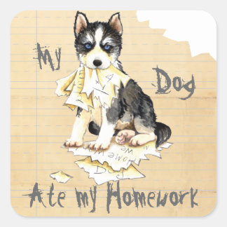 My Husky Ate my Homework Square Sticker