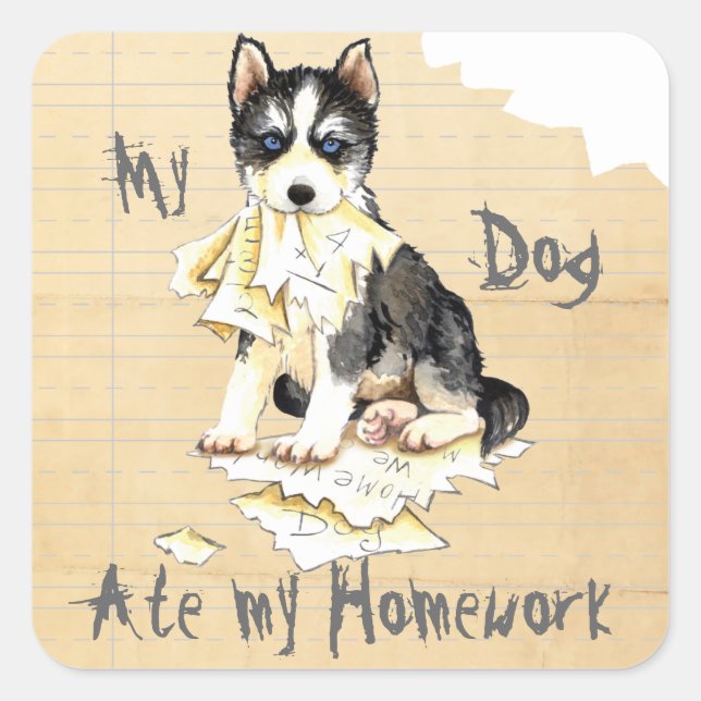 My Husky Ate my Homework Square Sticker (Front)